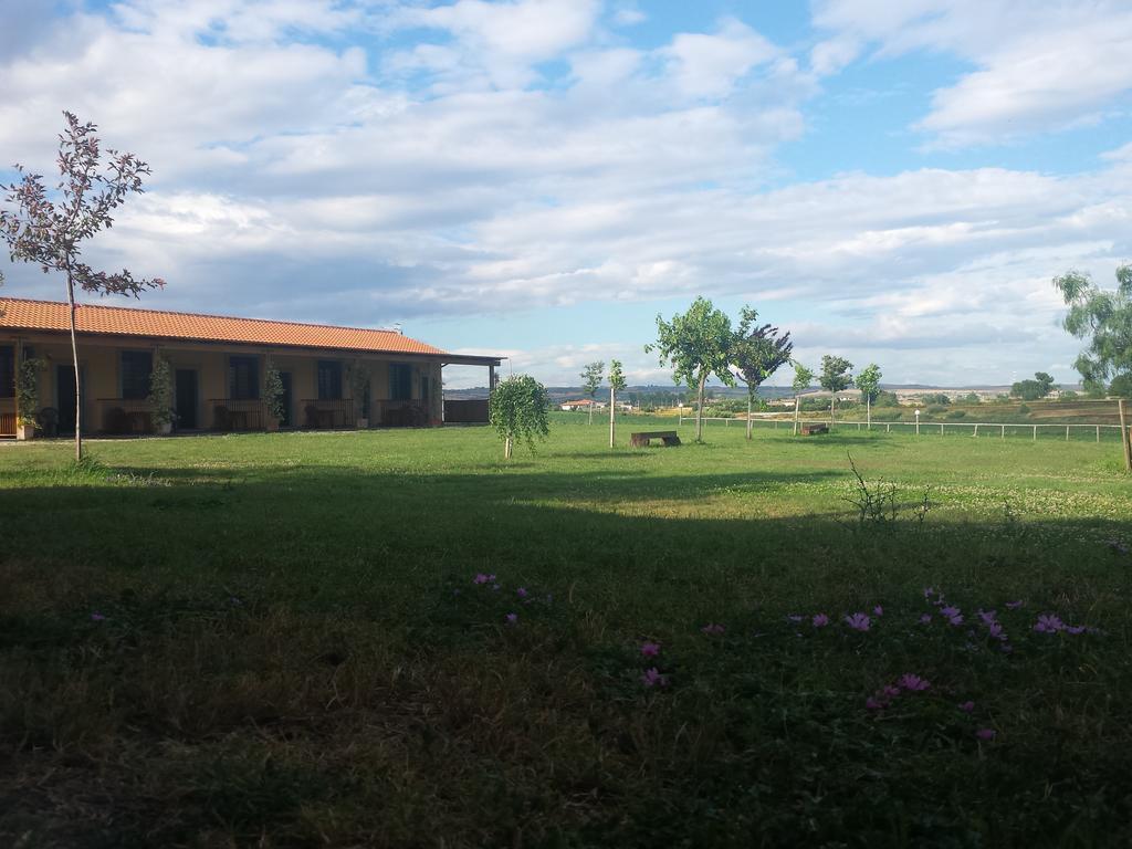 Villa Agriturismo San Matteo Tarquinia Zimmer foto