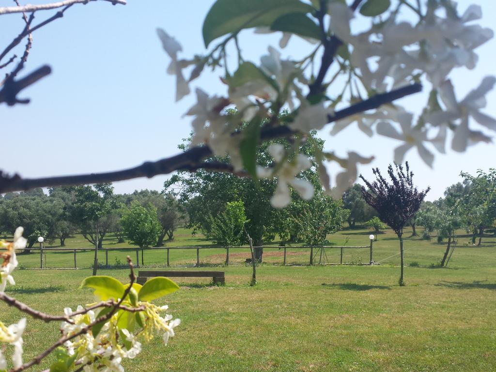 Villa Agriturismo San Matteo Tarquinia Zimmer foto