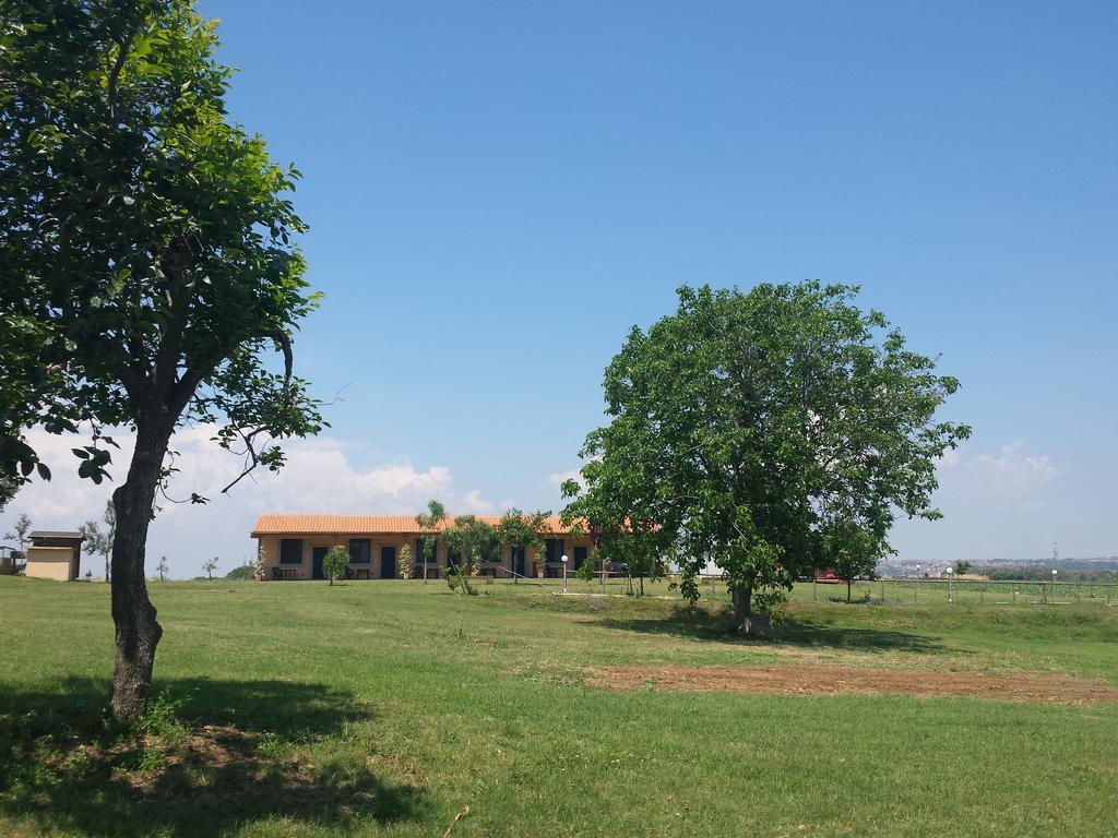 Villa Agriturismo San Matteo Tarquinia Zimmer foto