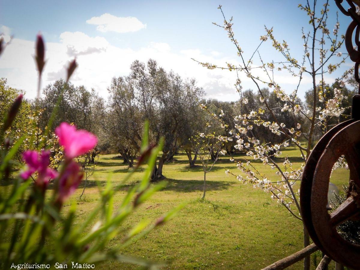 Villa Agriturismo San Matteo Tarquinia Exterior foto