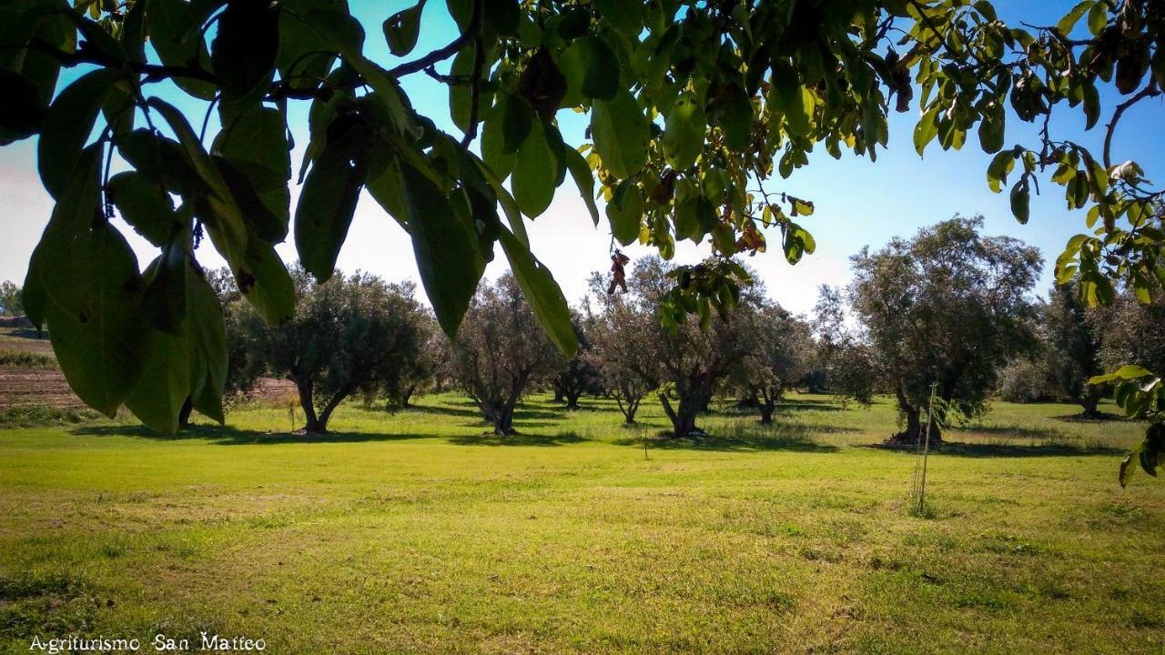 Villa Agriturismo San Matteo Tarquinia Exterior foto