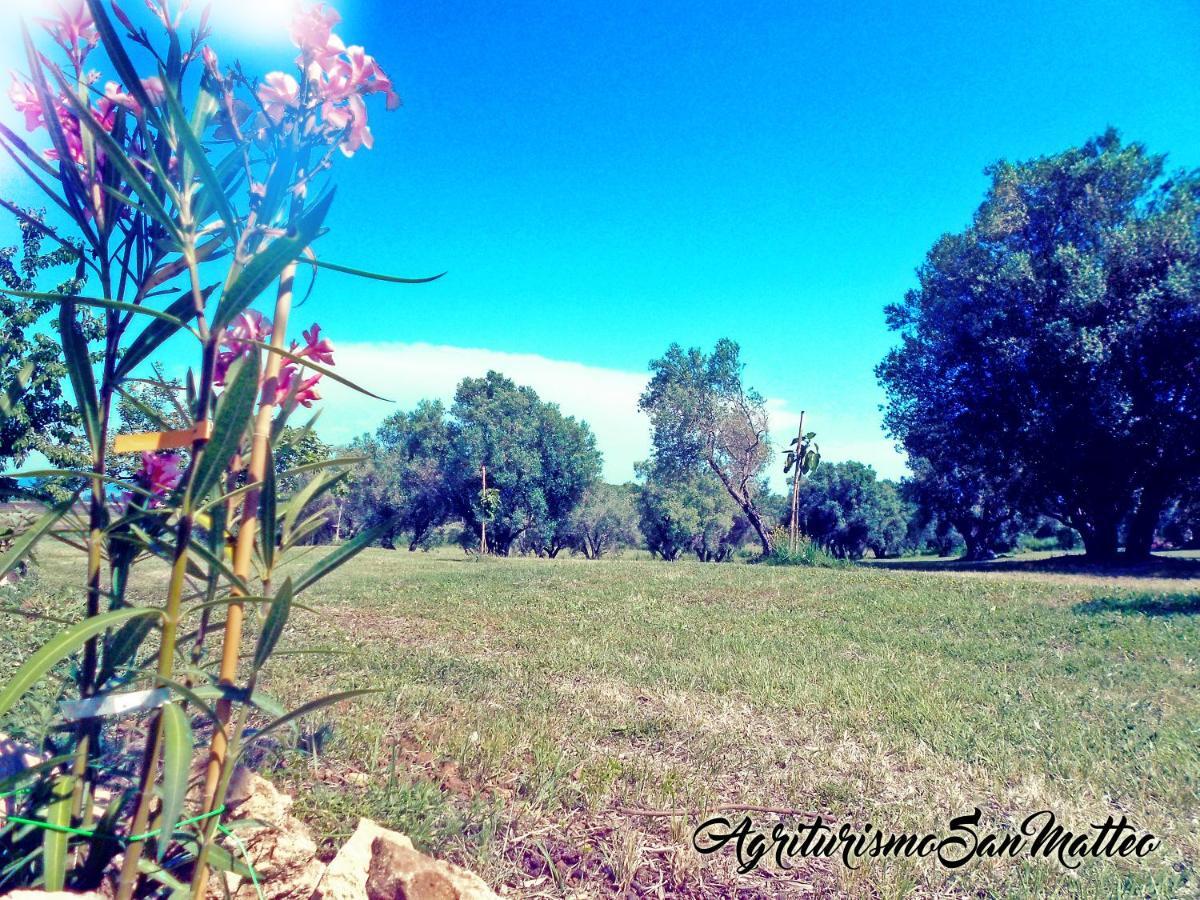 Villa Agriturismo San Matteo Tarquinia Exterior foto